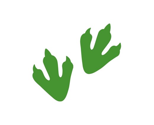 Dinosaur Footprints Paper Cut Outs - Paper Dino Feet Shape, Dinosaur Die Cuts, Dinosaur Feet Cutouts (tax&duty Paid/ddp USA) - Etsy