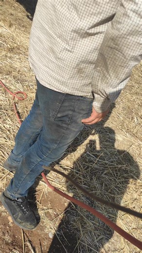 __RAMAZAN YALÇİN__ (@yorgun.1.adamx) adlı kullanıcının orijinal ses - 𝐁𝐞𝐠𝐚𝐚_ ile oluşturduğu videoları