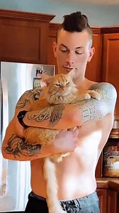 Woman rescues cat from parking lot — and he becomes obsessed with her husband 🥰 | The Dodo