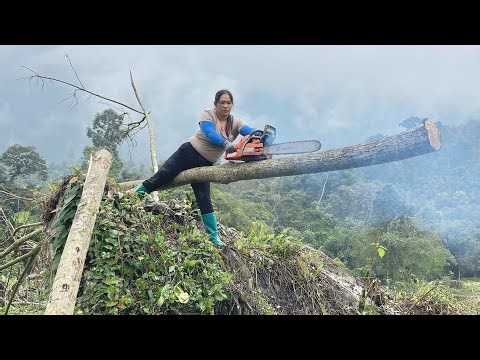 Farm vehicle, girl fails in her attempt to dig up tree roots as planned.