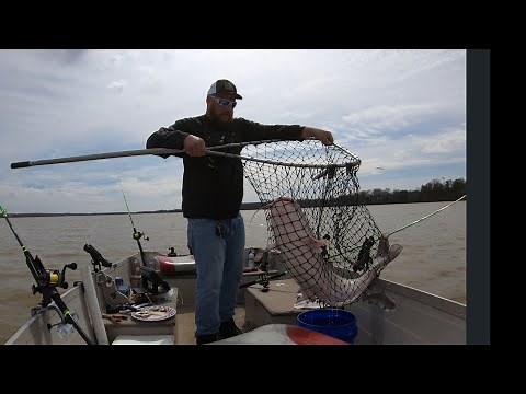 Catfishing Hoover Reservoir at the beginning of spring