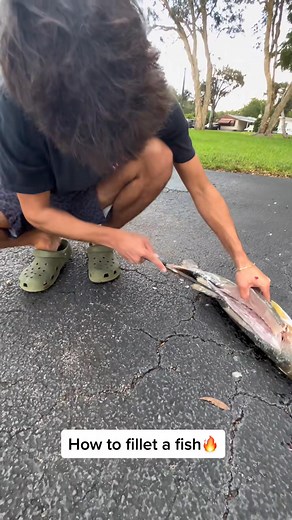 Nice, easy, & fast way to fillet your fish🤙🏽😎. #fillet #snook #howto | Lazarog Fishing