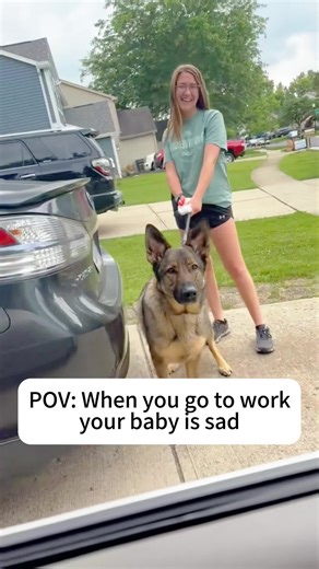 Emotional Dog Says Goodbye to Owner