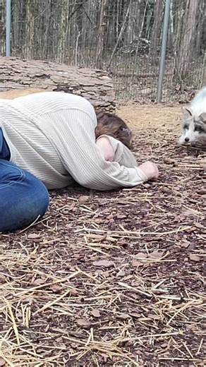Floor Time Fun: A Zookeeper's Lighthearted Break