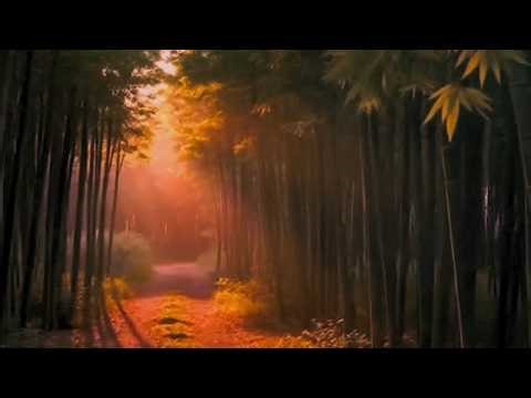 Instant Calm 🌙 Bamboo Forest Sleep Music (1 Hour) | Peaceful Night