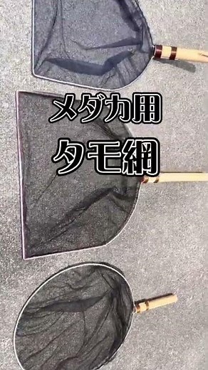 【メダカ飼育】はじめてタモ網を作る [Medaka breeding] Making a tamo net for the first time