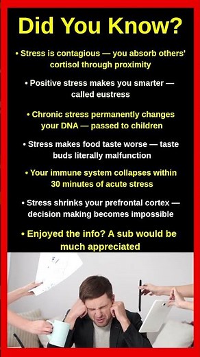 Stress Facts Nobody Ever Tells You 😰🔬