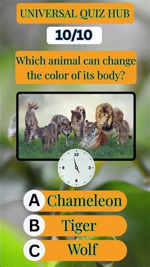 Animal Quiz Challenge: Which Animal Can Change Color? #quiz #triviachallenge