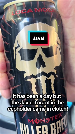 Forgot that was there! Outside temp was perfect. Blue collar refrigerator doing its job. 💪❄️ #javamonster #bluecollarlife #journeymanlineman #hottaillineco #lineman @Three Clicks Brand