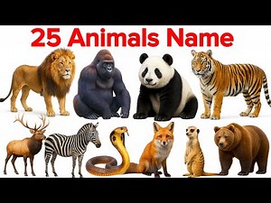 25 Animals Name English to Hindi | Learn Animals Names | Learn Animals Name & Sound & Picture
