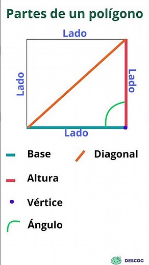 Partes de un polígono #matematicas #geometria