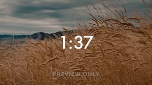 Harvest - Countdowns Various Lengths