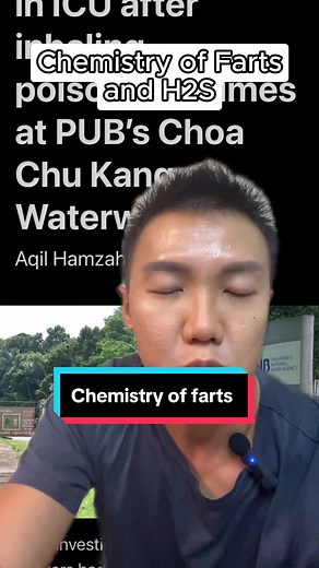 Chemistry of H2S Poisoning: Facts, Symptoms, and Prevention