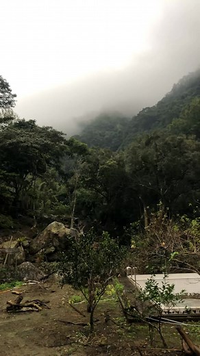 人生如夢，所見何以？好想逃離世俗，歸化山林！^_^ | FamilyLife Farm