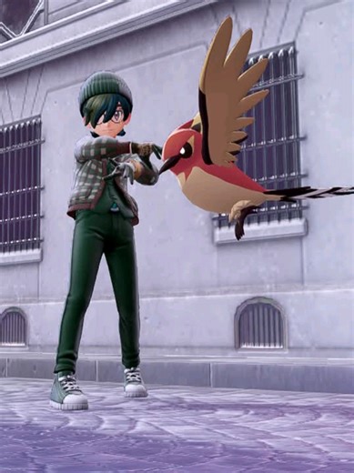 any nickname suggestions for this shiny #fletchinder ?