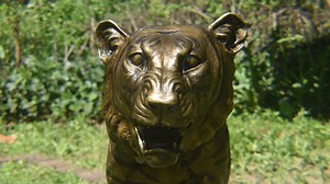 Tiger is newest beast at Children's Sculpture Zoo in Haddonfield