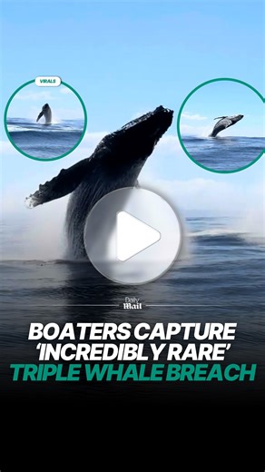 Boaters capture rare triple whale breach on camera
