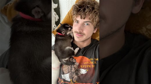 Rescue puppies nap together cuddled on their owner