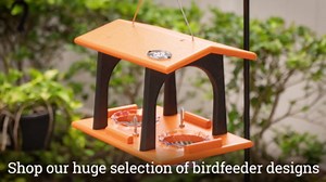 DutchCrafters Double Hanging Oriole Bird Feeder with 2 Jelly Cups & 2 Fruit Slice Rod Holders, Outdoor Fruit Jelly Feeders for Birds - Amish Made in America (Cherry Wood & Weathered Wood)