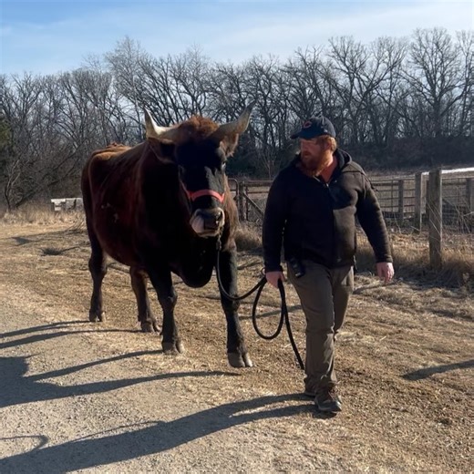 Old World Wisconsin on Reels | Facebook