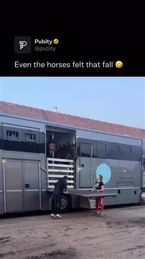 Pubity on Instagram: "🐎 Horses carry a quiet power that feels both wild and gentle. Their graceful movements, flowing manes, and steady presence reflect freedom and trust. Whether running across open fields or standing calmly by our side, they connect deeply with nature and human emotion. There is something grounding about being near a horse. They teach patience, respect, and harmony, reminding us that strength can exist alongside calm, beauty, and grace. @anastasia_kirnarskaya • #wildlife"