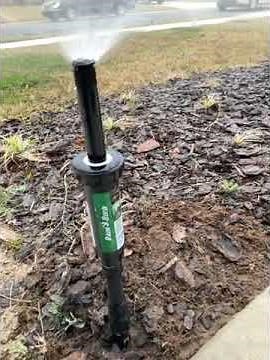 1800 series rain 🦅bird ￼ sprinkler head 4 inches replacement test🇺🇸