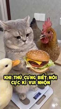 Khi Thú Cưng Biết Nói Chuyện⁉️