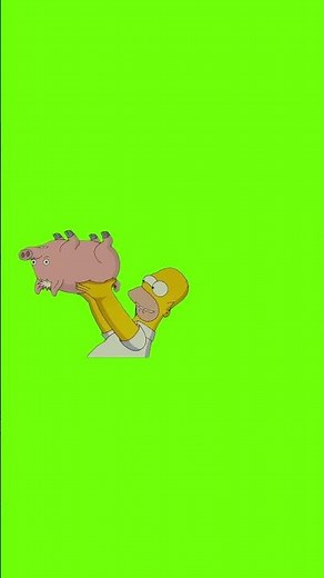 Spider Pig Simpsons Green Screen