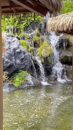 5.6K views · 111 reactions | Tidepools’ thatched roof bungalows floating above a koi filled lagoon at the base of a waterfall makes for the perfect evening. Ahi Poke, Mac Nut Crusted Fish and Candied Lemon & Beet Salad will surely please. Spectacular sunset, an added bonus! Reserve now on @OpenTable. . #tidepoolskauai #grandhyattkauai #ghkohana #romanticdinner | Grand Hyatt Kauai Resort & Spa | Facebook