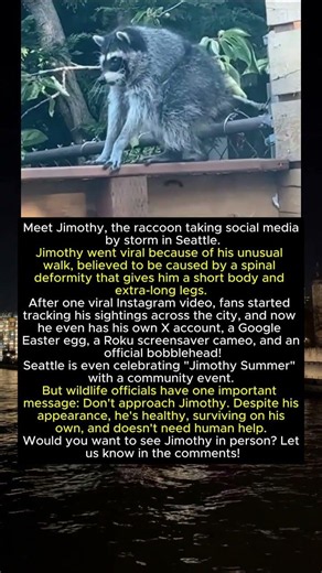 Move over Moo Deng—there's a new internet superstar stealing hearts!