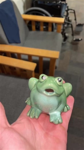 Charming Ceramic Frog Figurine Display