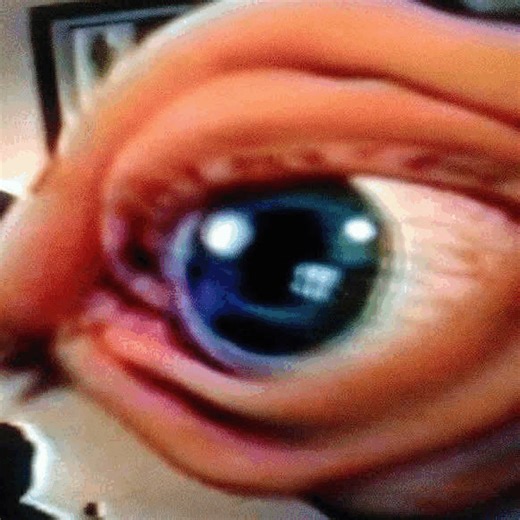 Look Into The Hypnotic Eye | The Hypnotic Eye