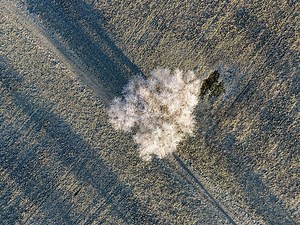 Main Page - Wikimedia Commons