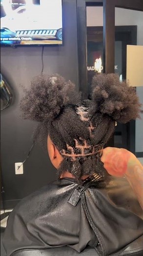 Two Strand Twist on Thick 4C Hair