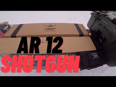 Landor Arms AR12 Shotgun - Unboxing and shooting #8 Birdshot
