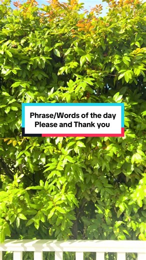 Essential Phrases: Please and Thank You in Samoan