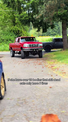 Understanding the Nine Lives of Cats