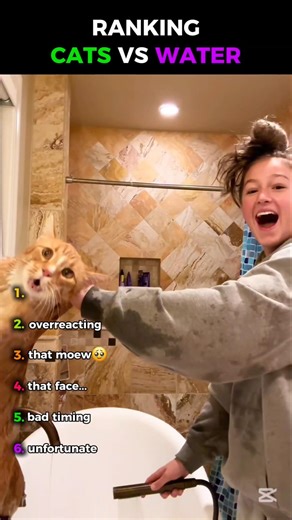 Cats🐱 VS Water💦