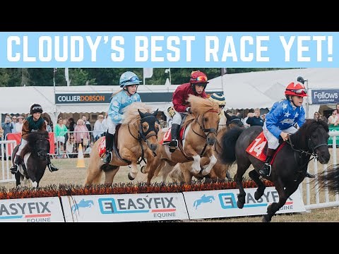 CLOUDY’S BEST RACE YET! SHETLAND RACING AT THE GAME FAIR!