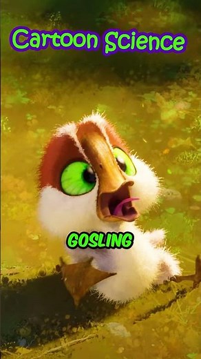 The Gosling Was Already Trying to Get Out of the Egg