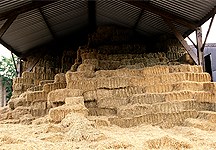 Where to buy alternative types of horse bedding - Horse & Hound