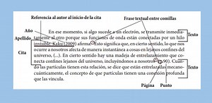 Tipos De Citas Textuales Segun Normas Apa
