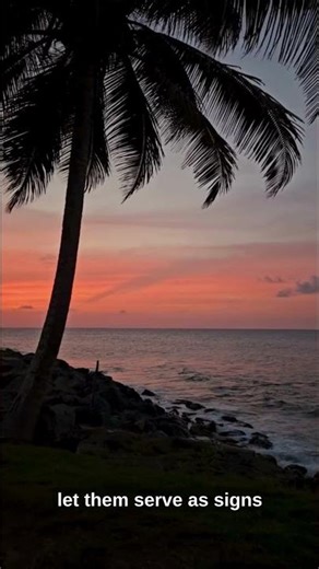 The Beginning of Creation – Genesis 1:14