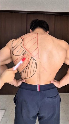 4 back exercises to build a great back‼️