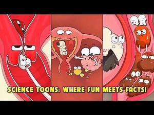 Hilarious Health Cartoons: Pregnancy & Biology Explained! (Part 7) #animation #pregnancy #science