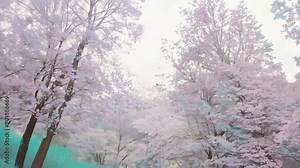 a pastel forest, tilting to capture the towering, softly colored trees. Gentle breezes rustle the leaves, creating a peaceful, natural soundscape.