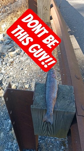 This is Why Trout Fishermen Have a Bad Reputation 👎 #fishing #dontdothat #troutfishing #troutreel