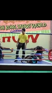 Orangutan Boxing in Cambodia! #orangutans #chimpanzee #chimp #gorilla #gorillatag #viralvideo #viralreels #reelsvideo #fbreels #reelsfb #ad | Finger Knights 3