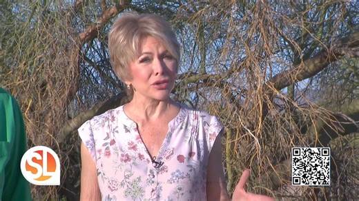 3.5K views · 20 reactions | Water is wildlife's most precious resource, especially during extended drought, like the one we're in now. Thanks to Sonoran Living for this great segment on the importance of sending water to wildlife. You can help the cause, too! Donate lifesaving water to wildlife at SendWater.org. | Arizona Game & Fish Department | Facebook