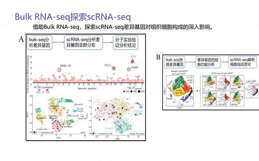 单细胞测序及其研究思路